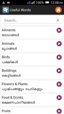 Malayalam Dictionary android App screenshot 4